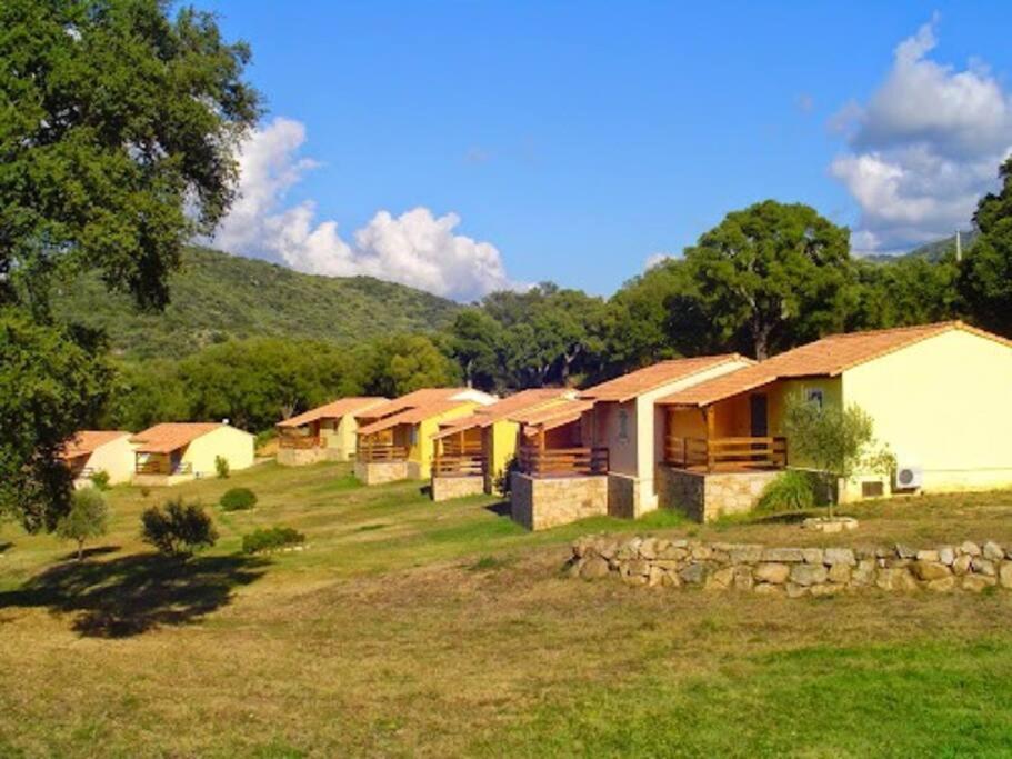 Maison Au Calme Avec Piscine Et Climatisation Sollacaro Exterior foto